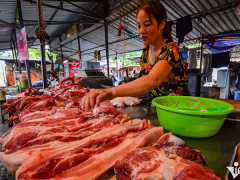 Ảnh bìa bài viết 835164