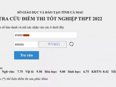 Ảnh bìa bài viết 835284