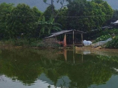Ảnh bìa bài viết 835547