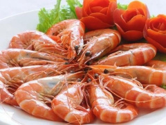 Ảnh bìa bài viết 835605
