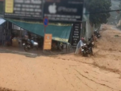 Ảnh bìa bài viết 835624