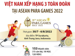 Ảnh bìa bài viết 835708