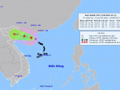 Ảnh bìa bài viết 836152