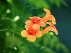 Ảnh bìa bài viết 836185