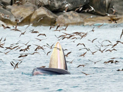 Ảnh bìa bài viết 836605