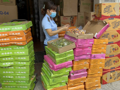 Ảnh bìa bài viết 836874