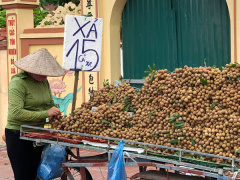 Ảnh bìa bài viết 837042