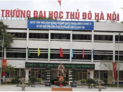 Ảnh bìa bài viết 837115