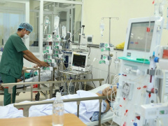 Ảnh bìa bài viết 837205