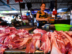 Ảnh bìa bài viết 837229