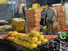 Ảnh bìa bài viết 837402