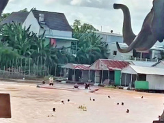 Ảnh bìa bài viết 837742
