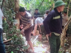 Ảnh bìa bài viết 837992