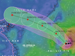 Ảnh bìa bài viết 837974
