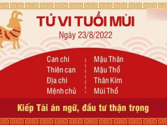Ảnh bìa bài viết 837936