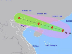 Ảnh bìa bài viết 838230