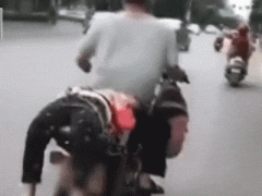 Ảnh bìa bài viết 838108