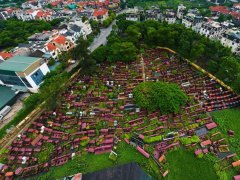 Ảnh bìa bài viết 838218