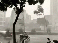 Ảnh bìa bài viết 838310