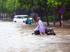 Ảnh bìa bài viết 838342