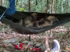 Ảnh bìa bài viết 838537