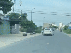 Ảnh bìa bài viết 838615