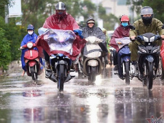 Ảnh bìa bài viết 838554