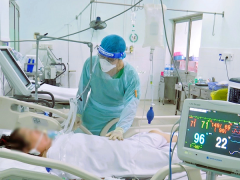 Ảnh bìa bài viết 838791