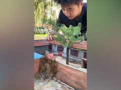 Ảnh bìa bài viết 838763