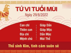 Ảnh bìa bài viết 838802