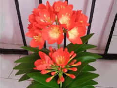 Ảnh bìa bài viết 838840