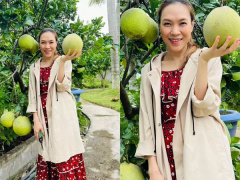 Ảnh bìa bài viết 838955