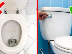 Ảnh bìa bài viết 839044