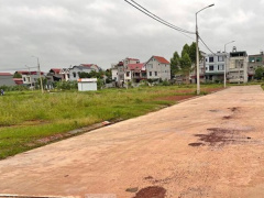 Ảnh bìa bài viết 839220