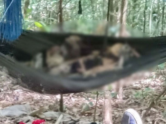 Ảnh bìa bài viết 839163