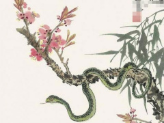 Ảnh bìa bài viết 839306