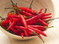 Ảnh bìa bài viết 839401