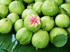 Ảnh bìa bài viết 839432