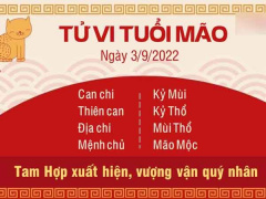 Ảnh bìa bài viết 839551