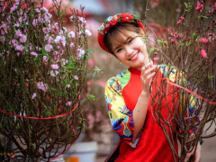 Ảnh bìa bài viết 840068