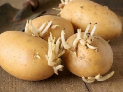 Ảnh bìa bài viết 840120