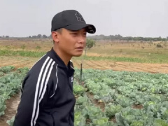 Ảnh bìa bài viết 840672
