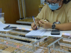 Ảnh bìa bài viết 841119