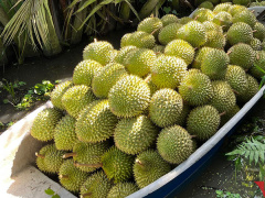 Ảnh bìa bài viết 841592