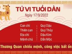 Ảnh bìa bài viết 841561