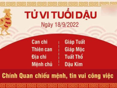 Ảnh bìa bài viết 841683