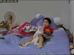 Ảnh bìa bài viết 841942