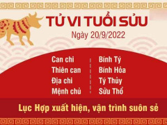 Ảnh bìa bài viết 841973
