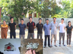 Ảnh bìa bài viết 841997