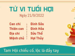Ảnh bìa bài viết 842133